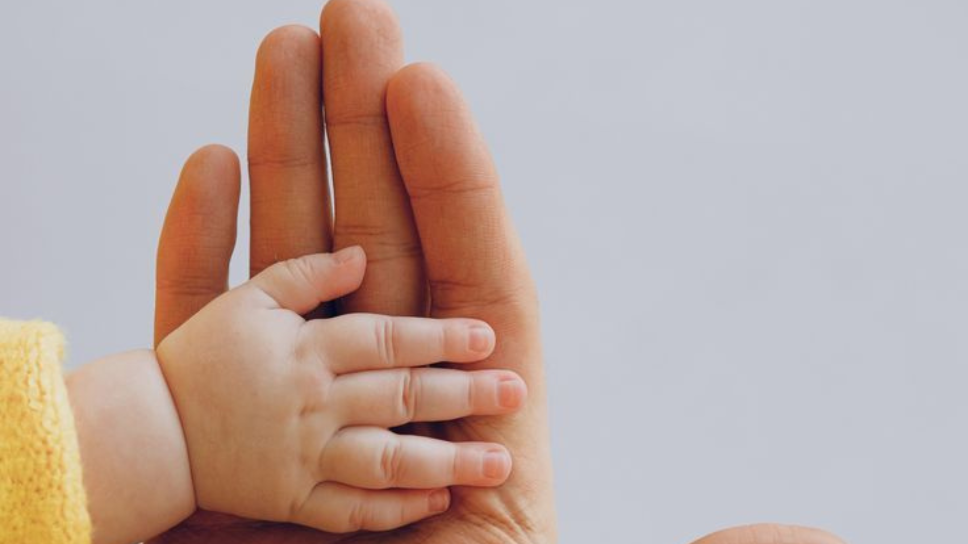 A heartwarming image depicting the touching hands of an adult and a child, symbolizing trust, guidance, and familial love, set against a soft background.